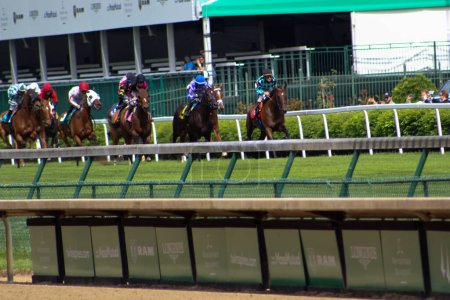 Photo for LOUISVILLE, KY - MAY 1, 2019: Horses run on the turf for race 8 at Churchill Downs - Royalty Free Image
