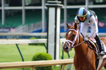 Photo for LOUISVILLE, KY - MAY 1, 2019: Jose L Ortiz on Pep after turf race 8 at Churchill Downs - Royalty Free Image