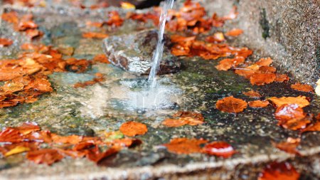 Photo for Spring in the mountains with water and dry autumn leaves. - Royalty Free Image