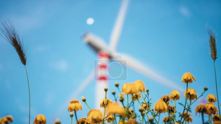 Photo for Wind power plant for clean energy production on the hills at sunset - Royalty Free Image