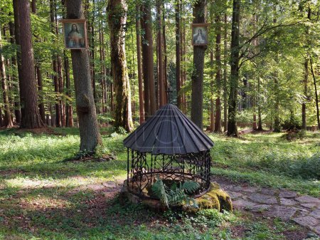 Téléchargez les photos : Printemps de la forêt romantique, lieu de pèlerinage à la périphérie de la région de Vysocina sur la colline Straziste, source d'eau naturelle - en image libre de droit