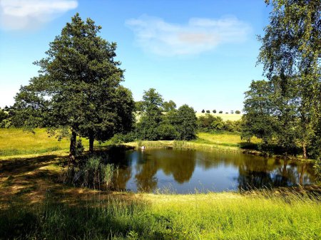 Téléchargez les photos : Paysage pittoresque avec un petit étang en Bohême centrale dans la région de Vysocina, République tchèque, paysage d'été - en image libre de droit