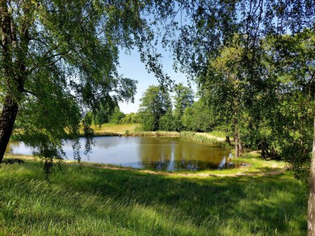 Téléchargez les photos : République tchèque Paysage pittoresque avec un petit étang en Bohême centrale dans la région de Vysocina, paysage d'été - en image libre de droit