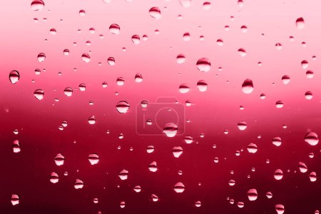 Téléchargez les photos : De belles gouttes de pluie sur la fenêtre. gradient rouge. Démonstration de Viva Magenta - couleur tendance de l'année 2023 - en image libre de droit