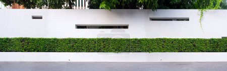 Foto de Cerca de pared de hormigón blanco con fila de arbusto verde en frente de la casa moderna en vista panorámica - Imagen libre de derechos