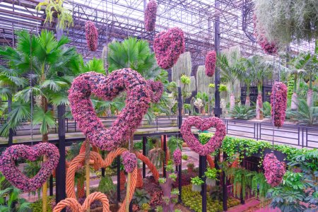 Foto de Grupo de bromelias rosas colgantes decorativas en forma de corazón con plantas de palma ornamentales verdes en el hermoso jardín del cielo del jardín tropical de Nong Nooch en Pattaya, Tailandia - Imagen libre de derechos
