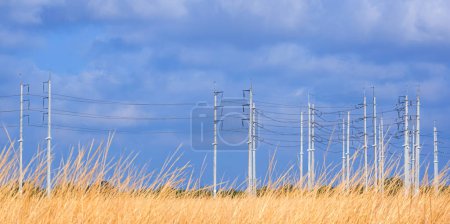 Focus at row of electric power poles and cable lines against white cloudy on blue sky with blurred yellow wild grass field on foreground in countryside area, panoramic view