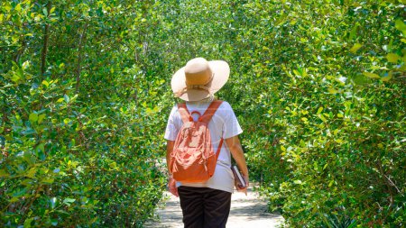 Foto de Vista trasera del libro de notas de turismo femenino con mochila caminando en sendero natural en el bosque de manglares en el parque natural, concepto de ecoturismo - Imagen libre de derechos