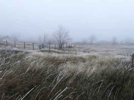 Paysage rural côté campagne photo du paysage hivernal du matin