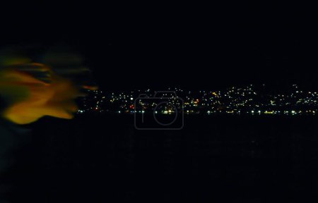 A terrifying night scene with an alien standing on the left and looking at the panorama of the city.