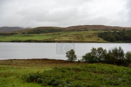 Téléchargez les photos : Forêt et lac dans les Highlands, Écosse - en image libre de droit