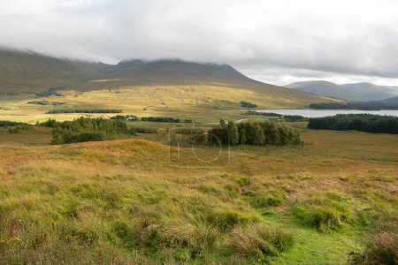 Téléchargez les photos : Ferme verte dans les Highlands, Écosse - en image libre de droit