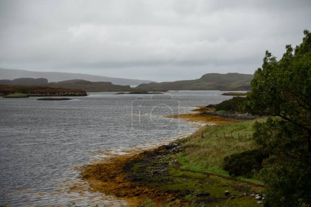 Foto de Moss y un lago en las Highlands, Escocia - Imagen libre de derechos