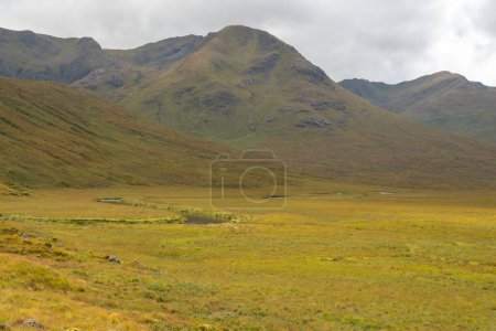 Téléchargez les photos : Paysage d'herbe verte dans les Highlands, Écosse - en image libre de droit