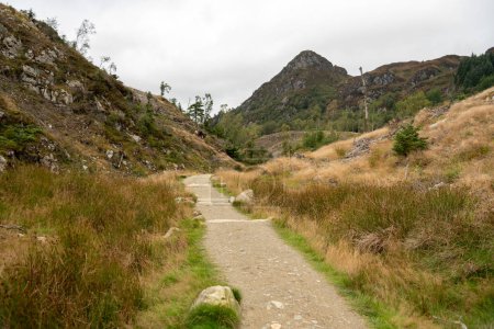 Téléchargez les photos : Ancien sentier de montagne dans les Highlands, Écosse - en image libre de droit