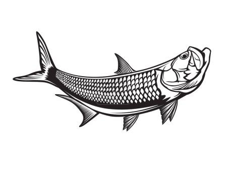 Illustration for Tarpon fishing emblem. Black and white illustration of tarpon. Vector can be used for web design, cards, logos and other design - Royalty Free Image