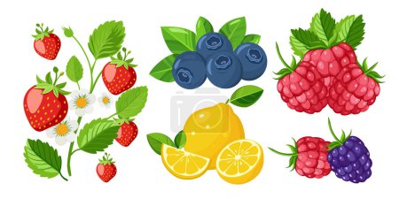 Set de frutas y bayas. Fresa, frambuesa, arándanos, limón. Ilustración vectorial