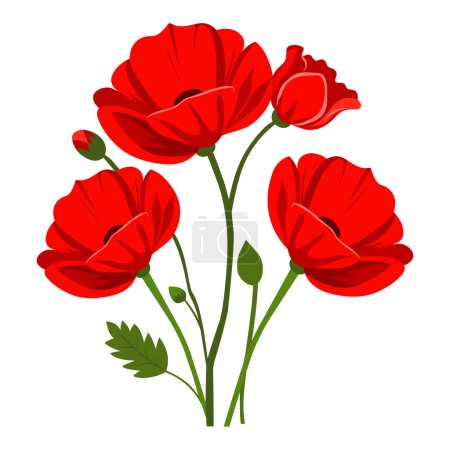 Bouquet de coquelicots rouges isolé sur fond blanc. Illustration vectorielle.