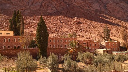 Ein Gebäude und ein Olivenhain an den Hängen unfruchtbarer Berge. Das Katharinenkloster. Ägypten auf dem Sinai