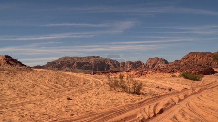 Barren Land with Stones, Mountains and a Small Tree. The Sinai Mountains. Sinai Peninsula Egypt