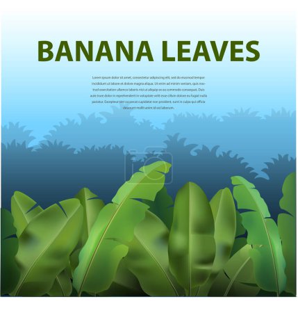 Illustration for Vector illustration, Banana leaf forest. - Royalty Free Image