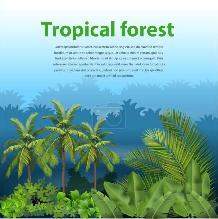 Téléchargez les illustrations : Illustration vectorielle, paysage de forêt tropicale. - en licence libre de droit