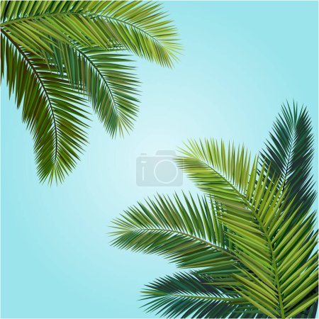 Illustration for Vector illustration, coconut leaf composition - Royalty Free Image