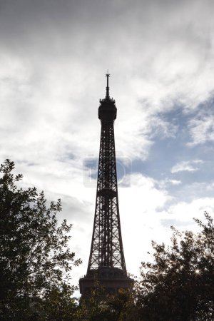 Foto de Vista de la Torre Eiffel desde un parque - Imagen libre de derechos