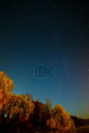 Photo for Starry sky over a large body of water with willows on the shore with a beautiful warm light. High quality photo - Royalty Free Image