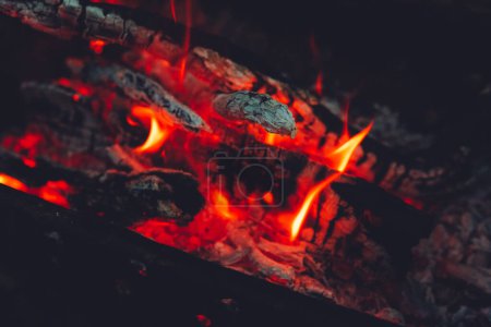 Photo for Beautiful bonfire with burning firewood in forest. Space for text - Royalty Free Image