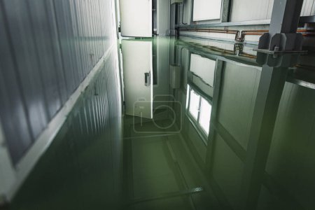 Foto de Nuevos cuartos fríos en la industria de la carnicería con suelos de resina epoxi verde - Imagen libre de derechos