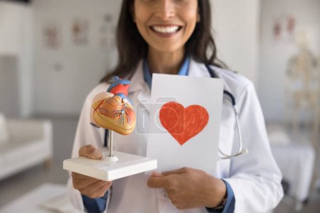 Photo for Happy black haired doctor woman holding paper card with drawn heart and model of body organ. Young cardiologist offering heart checkup, cardio disease examination. Cropped close up shot - Royalty Free Image