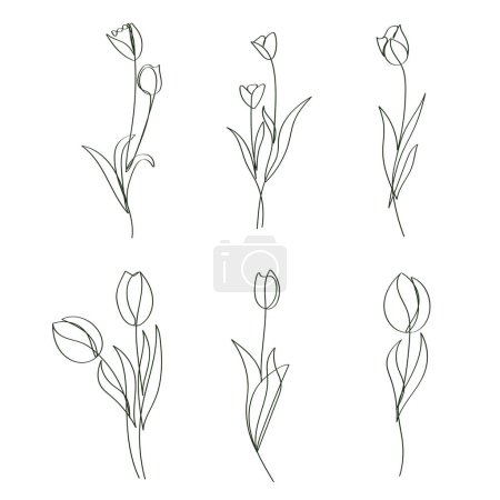 Téléchargez les photos : Fleurs de tulipes dessinées à la main élégant continue dessin à la ligne - en image libre de droit