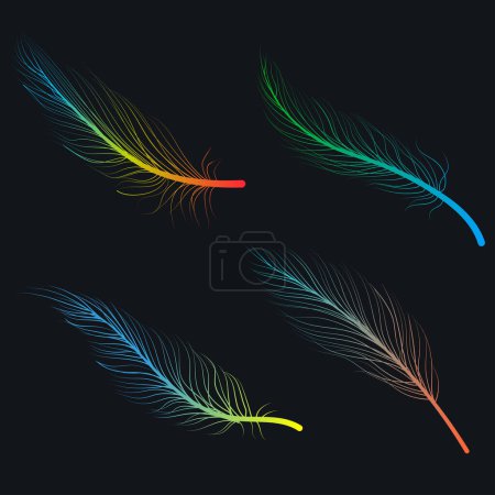 Téléchargez les photos : Dessiné à la main couleur oiseau plumes ligne art gribouillage dessin fond noir illustration - en image libre de droit