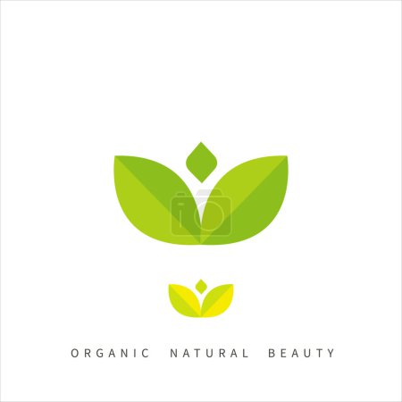 Téléchargez les photos : Feuilles minimalistes Nature Design logo bio - en image libre de droit
