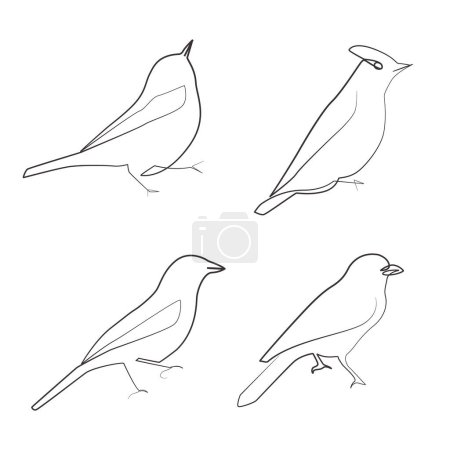 Birds linear drawing one line artwork