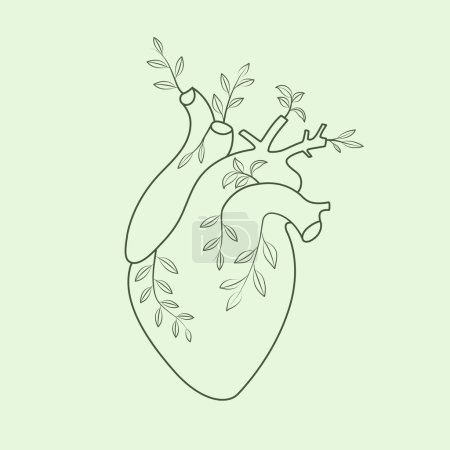 Téléchargez les photos : Coeur organique humain linéaire avec illustration de plantes et feuilles - en image libre de droit