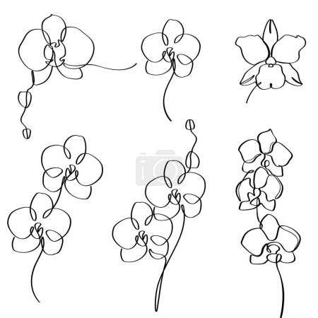 Téléchargez les photos : Orchidée dessinée à la main noir et blanc élégant continue ligne art dessin illustration. - en image libre de droit