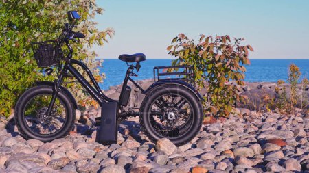 Foto de Electric bicycle in the lake park in sunny summer day. Natural lighting. Electric trike or bike E motor and power battery of the three wheel bike. Ecology and green energy concept. Ev electric vehicle - Imagen libre de derechos