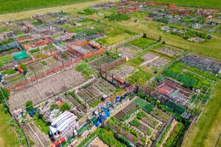 Foto de Urban farming aerial view, organic and natural vegetables harvest. Grassroots activism and transformation of public spaces, urban renewal agriculture and ecology. Guerrilla gardening and food security - Imagen libre de derechos