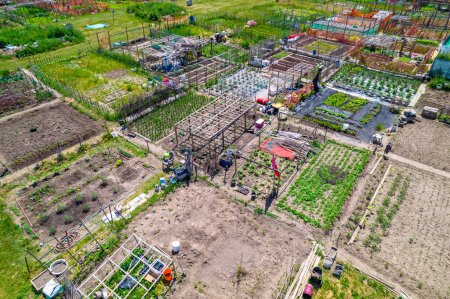 Photo for Permaculture trend result aerial view. Sustainable design and systems in farming in the city downtown. Eco-friendly and organic environments with street gardening. Tactical urbanism in the city. - Royalty Free Image