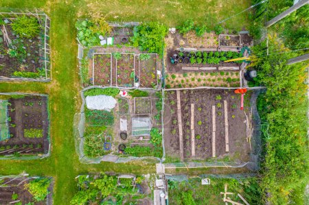 Photo for Nursery for growing vegetable seedlings in a city setting, small urban farm for organic farming and hand-grown food. Self-sustained gardening system, sustainable agriculture and locally grown produce. - Royalty Free Image