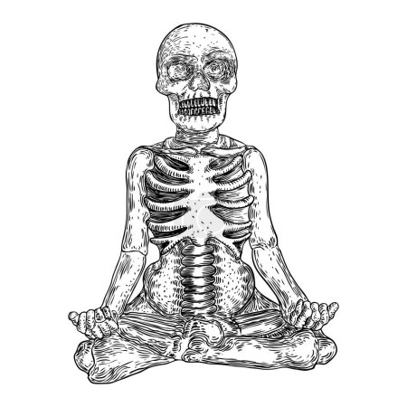 Ilustración de Esqueleto humano en meditación de yoga o posición de loto con cráneo. Humano en huesos sentado en trance psicodélico iluminado. Elemento Halloween. Vector. - Imagen libre de derechos