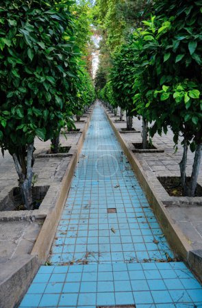 Foto de Jardín Botánico Shiraz en Narenjestan Qavam, camino de agua sobre el árbol verde en el jardín botánico en shiraz, Irán. - Imagen libre de derechos