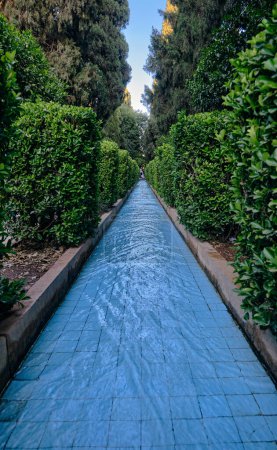 Téléchargez les photos : Jardin botanique de Shiraz dans le Narenjestan Qavam, sentier aquatique au-dessus de l'arbre vert dans le jardin botanique de Shiraz, Iran. - en image libre de droit