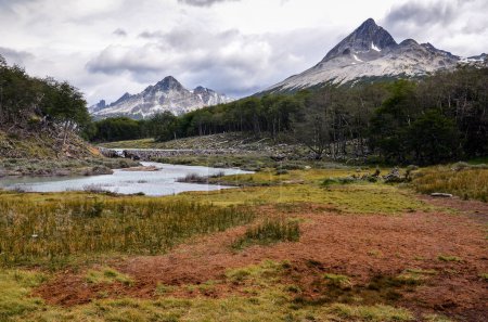 Téléchargez les photos : Tourbière dans le parc Tierra del Fuego près d'Ushuaia, Paragonia, Argentine, Amérique du Sud - en image libre de droit