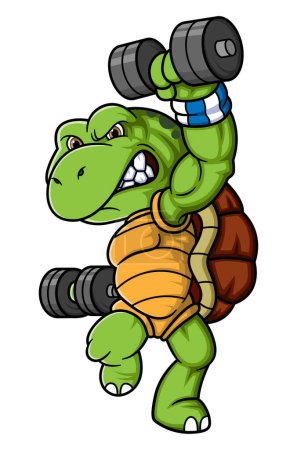 Téléchargez les illustrations : Personnage de tortue avec haltère poids pose d'illustration - en licence libre de droit