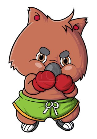 Illustration for Cartoon cute quokka character boxing on white background of illustration - Royalty Free Image