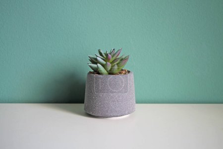 Photo for Artificial succulent flower on a white table. Space for your text. - Royalty Free Image