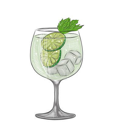 Vector engraved style Gin Tonic alcoholic cocktail illustration for posters, decoration, menu and print. Hand drawn sketch of drink or beverage. Detailed drawing isolated on white background.